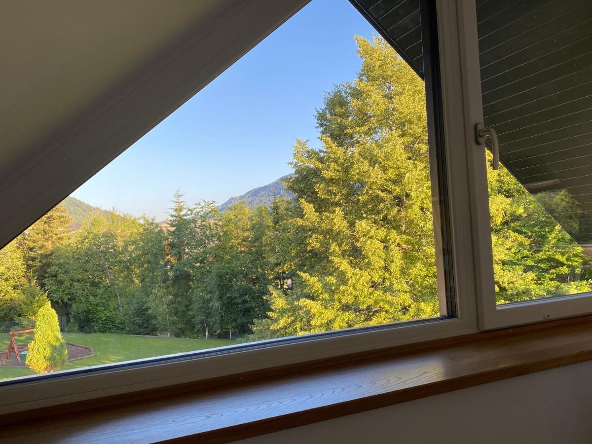Apartment Zidana Marela - Attic With A View Краньска Гора Экстерьер фото